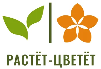 Растёт-Цветёт
