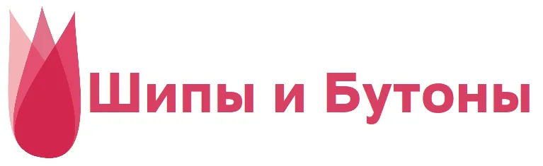 Шипы и Бутоны