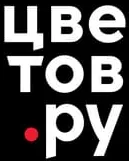 Цвето'в.ру