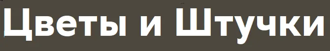 Цветы и штучки